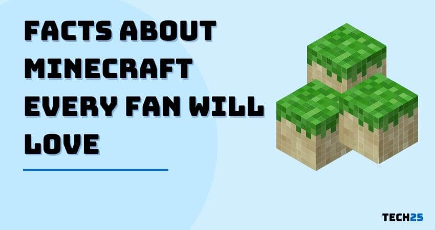 25 Facts About Minecraft Every Fan Will Love